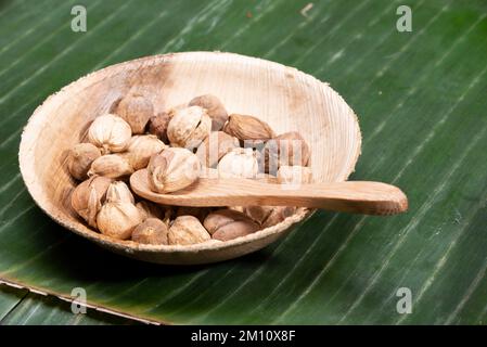 Kapulaga Java, un de cardamome utilisé comme épice pour cuisiner des plats. Banque D'Images