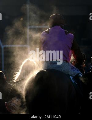 La vapeur s'élève des héroïques cachées ravagées par Harry Skelton alors qu'ils se promènaient après avoir remporté le Chettenham & South-West Racing Club novices Limited Handicap Chase pendant la première journée de la rencontre internationale à Cheltenham Racecourse, Cheltenham. Date de la photo: Vendredi 9 décembre 2022. Banque D'Images