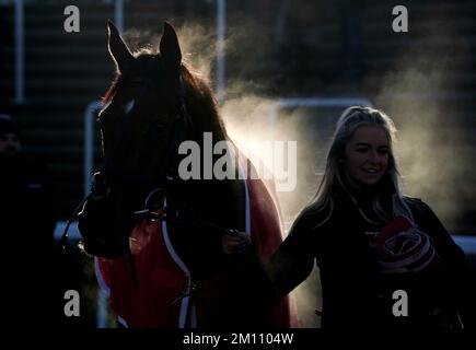 La vapeur s'élève au large des héros cachés lorsqu'elle entre à pied après avoir remporté le Chettenham & South-West Racing Club novices Limited handicap Chase pendant la première journée de la rencontre internationale à Cheltenham Racecourse, Cheltenham. Date de la photo: Vendredi 9 décembre 2022. Banque D'Images