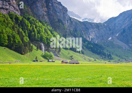 Belle vue à Alpstein, Alpes suisses, Suisse Banque D'Images