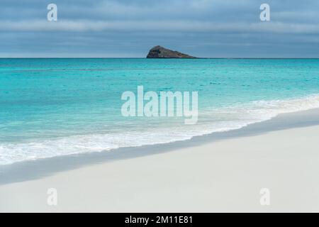 Plage de Gardner Bay, île d'Espanola, parc national de Galapagos, Équateur. Banque D'Images
