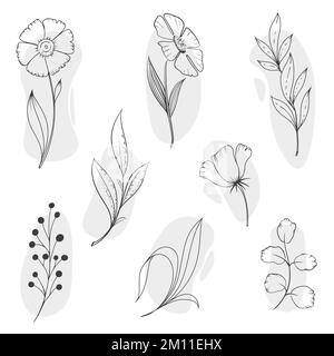 ensemble de fleurs dessinées à la main Illustration de Vecteur