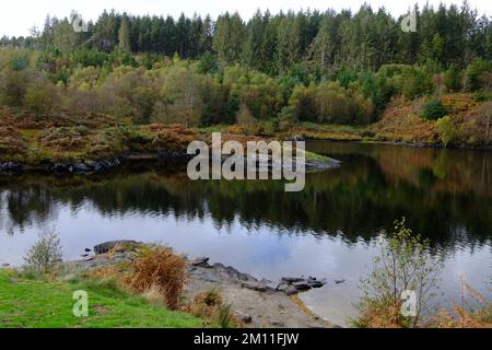 Llyn ELSI Betws-y-Coed pays de Galles Banque D'Images