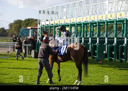 Jockey PJ McDonald à cheval Lucky Man aux courses de York. Banque D'Images