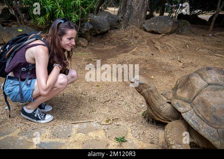 Une jeune femme et une tortue géante dans le Parc naturel de la Vanille, Ile Maurice, Afrique Banque D'Images