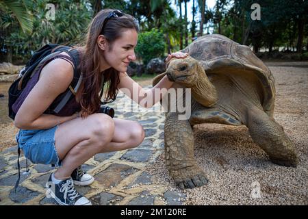 Une jeune femme et une tortue géante dans le Parc naturel de la Vanille, Ile Maurice, Afrique Banque D'Images