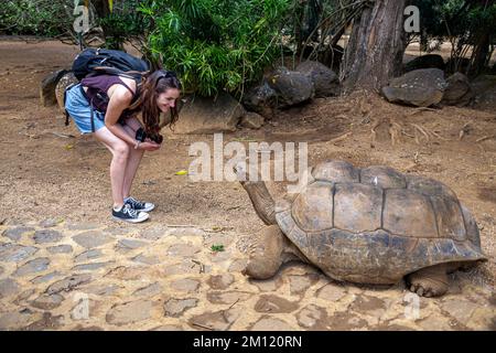 Une jeune femme et une tortue géante dans le Parc naturel de la Vanille, Ile Maurice, Afrique Banque D'Images