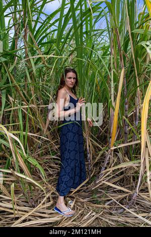 Jeune femme posant devant les plantes de canne à sucre, Ile Maurice, Afrique Banque D'Images