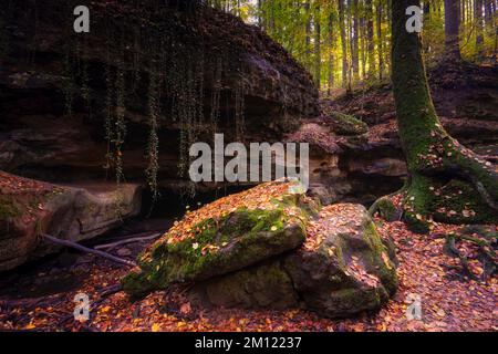 Église du diable de Grünsberg, gorge de grès rhétien, Altdorf, moyenne-Franconie, Franconie, Bavière, Allemagne Banque D'Images