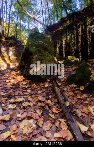 Église du diable de Grünsberg, gorge de grès rhétien, Altdorf, moyenne-Franconie, Franconie, Bavière, Allemagne Banque D'Images