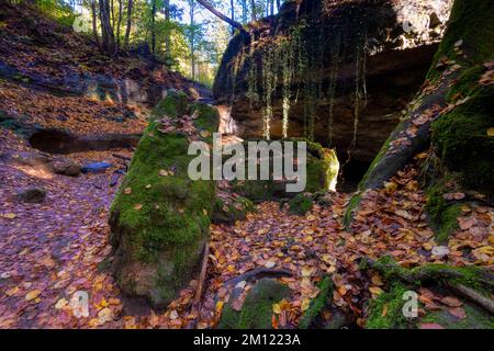 Église du diable de Grünsberg, gorge de grès rhétien, Altdorf, moyenne-Franconie, Franconie, Bavière, Allemagne Banque D'Images