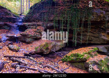 Église du diable de Grünsberg, gorge de grès rhétien, Altdorf, moyenne-Franconie, Franconie, Bavière, Allemagne Banque D'Images