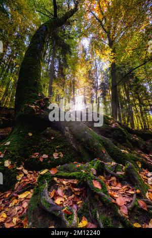 Église du diable de Grünsberg, gorge de grès rhétien, Altdorf, moyenne-Franconie, Franconie, Bavière, Allemagne Banque D'Images