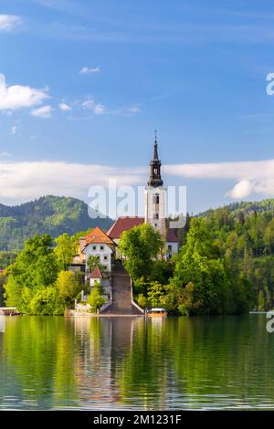 Vue sur le lac Bled au printemps avec la petite île et l'Assomption de l'église Maria. Bled, haute Carniola, Slovénie. Banque D'Images