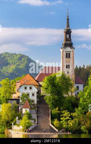 Vue sur le lac Bled au printemps avec la petite île et l'Assomption de l'église Maria. Bled, haute Carniola, Slovénie. Banque D'Images