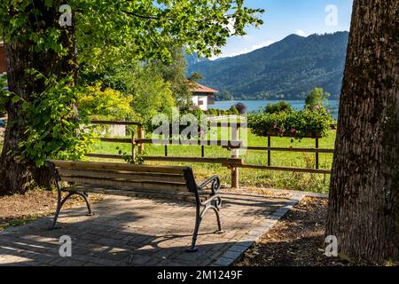 Banc avec vue sur le lac, village Schliersee, haute-Bavière, Bavière, Allemagne, Europe Banque D'Images