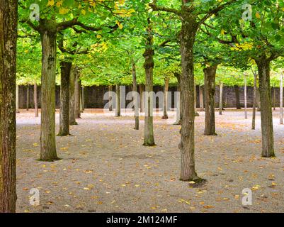 Europe, Allemagne, Hesse, Comté de Limburg-Weilburg, City Weilburg, Lahntal, Château de Weilburg, Parc du Château supérieur, Lindenboskett (Lindensaal) Banque D'Images