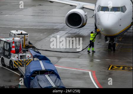 Cracovie, Pologne - 18 novembre 2022 : le Boeing 737 de Ryanair est en préparation après un vol à l'autre à l'International Jean-Paul II Krakow-Balice A. Banque D'Images