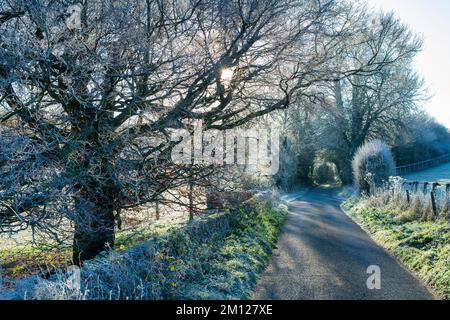 Piste de campagne glaciale dans les cotswolds, Glouchestershire, Angleterre Banque D'Images