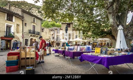 Place de la liberté à Saint Guilhem le désert. L'arbre d'avion a au moins 165 ans. Le village a été reconnu comme un site du patrimoine mondial de l'UNESCO 'Way of St. James en France ». Le village appartient aux plus Beaux villages de France. Le village appartient aux plus Beaux villages de France. Banque D'Images