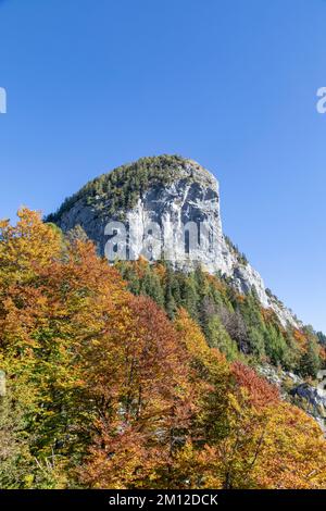 Italie, Friuli Venezia Giulia, Forni di Sopra, Udine. Le Clap VarMOST, groupe de montagnes Giogaia del Bivera, vallée de Tagliamento Banque D'Images