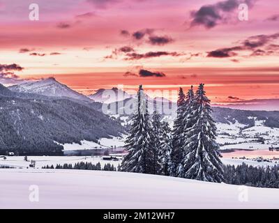 Forêt enneigée avec vue sur le lac Aegeri derrière Rigi et Pilatus, Gottschalkenberg, canton de Zug, Suisse, Europe Banque D'Images