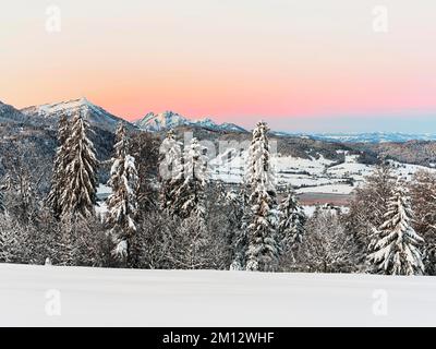 Forêt enneigée avec vue sur le lac Aegeri derrière Rigi et Pilatus, Gottschalkenberg, canton de Zug, Suisse, Europe Banque D'Images