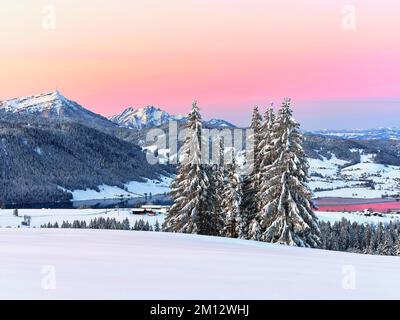 Forêt enneigée avec vue sur le lac Aegeri derrière Rigi et Pilatus, Gottschalkenberg, canton de Zug, Suisse, Europe Banque D'Images