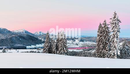 Forêt enneigée avec vue sur le lac Aegeri derrière Rigi et Pilatus, Gottschalkenberg, canton de Zug, Suisse, Europe Banque D'Images