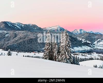 Forêt enneigée avec vue sur le lac Aegeri derrière Rigi et Pilatus, Gottschalkenberg, canton de Zug, Suisse, Europe Banque D'Images