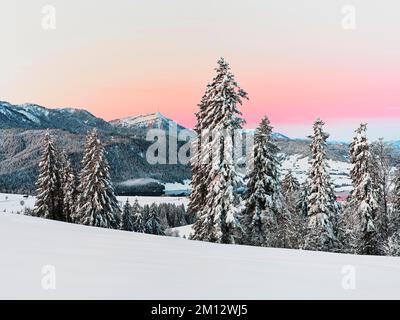 Forêt enneigée avec vue sur le lac Aegeri derrière Rigi, Gottschalkenberg, canton de Zug, Suisse, Europe Banque D'Images