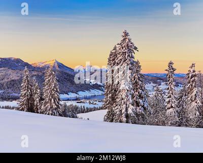 Forêt enneigée avec vue sur le lac Aegeri derrière Rigi et Pilatus, Gottschalkenberg, canton de Zug, Suisse, Europe Banque D'Images