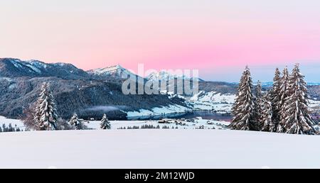 Forêt enneigée avec vue sur le lac Aegeri derrière Rigi et Pilatus, Gottschalkenberg, canton de Zug, Suisse, Europe Banque D'Images