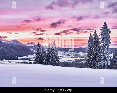 Forêt enneigée avec vue sur le lac Aegeri derrière Rigi et Pilatus, Gottschalkenberg, canton de Zug, Suisse, Europe Banque D'Images