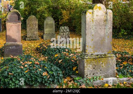 Allemagne, Gescher, Berkel, parc naturel Hohe Mark Westmuensterland, Muensterland, Westphalie, Rhénanie-du-Nord-Westphalie, cimetière juif, pierres tombales, spaetsommer, feuilles d'automne Banque D'Images