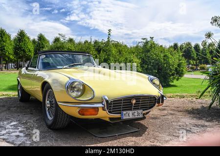 Schwetzingen, Bade-Wurtemberg, Allemagne, Concours d'Elégance dans le parc du château, Jaguar E-Type, série 3, V12, construit en 1972, déplacement de 5307 cc, 240 hp, au festival automobile classique. Banque D'Images