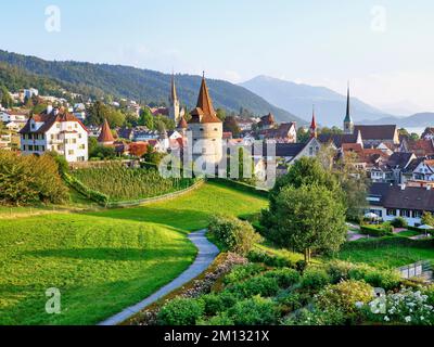 Roseraie derrière la Tour Capuchin, église, vieille ville et Rigi, Zug, canton de Zug, Suisse, Europe Banque D'Images