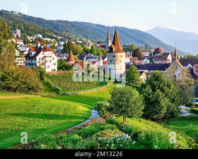 Roseraie derrière la Tour Capuchin, église, vieille ville et Rigi, Zug, canton de Zug, Suisse, Europe Banque D'Images