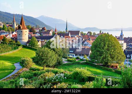 Roseraie derrière la Tour Capuchin, église, vieille ville et Rigi, Zug, canton de Zug, Suisse, Europe Banque D'Images