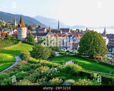 Roseraie derrière la Tour Capuchin, église, vieille ville et Rigi, Zug, canton de Zug, Suisse, Europe Banque D'Images