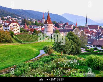 Roseraie derrière la Tour Capuchin, église, vieille ville et Rigi, Zug, canton de Zug, Suisse, Europe Banque D'Images