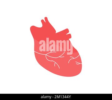 Organe cardiaque humain réaliste avec artères et logo de l'aorte. Silhouette anatomique du cœur humain. Concept de médecine saine, conception de vecteur de cardiologie Illustration de Vecteur