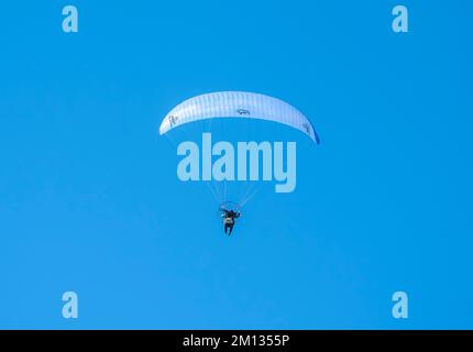 Un parapente motorisé volant seul en Nouvelle-Zélande le long d'une plage avec ciel bleu et aile blanche. Le moteur est usé par le pi Banque D'Images