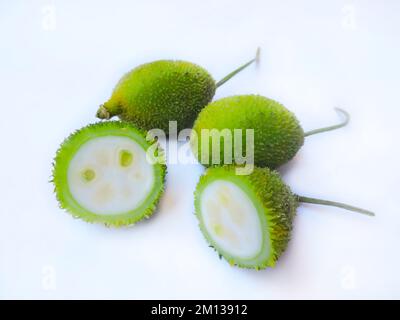 Goure épineuse ou goure de la colonne vertébrale et également connue sous le nom de poire à baumier, carraho épineux, gourde à thé, kantola. Il est utilisé comme légume en Inde et en Asie Banque D'Images