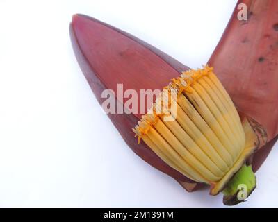 Fleur ou fleur de banane comestible. Largement utilisé dans diverses recettes en Asie. Banque D'Images