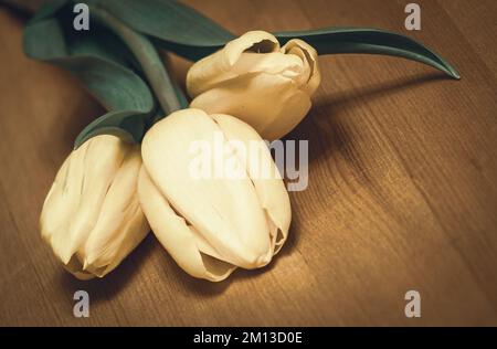bouquet de tulipes sur le bois Banque D'Images
