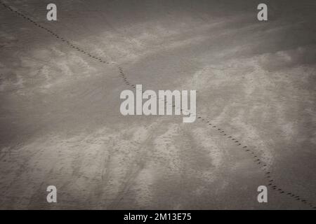 Des empreintes de pieds sur le flanc de la dune dans le parc national de Great Sand Dunes, dans le sud du Colorado. Banque D'Images