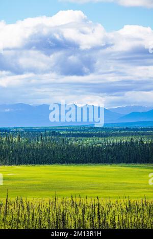 Alaska Highway; Kalukna River; Mentasta Mountains; Tetlin National Wildlife refuge; Alaska; États-Unis Banque D'Images