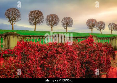 Arbres dans une rangée et parc public à Golden Autumn, St. Petersbourg, Russie Banque D'Images