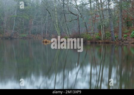 Eau vivivivivile au lac Byrd Creek dans le parc national de Cumberland, Tennessee, pendant une journée froide et pluvieuse, offrant un cadre magnifique pour les scènes de nature. Banque D'Images